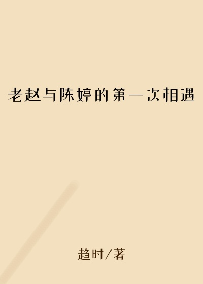 老赵与陈婷的第一次相遇