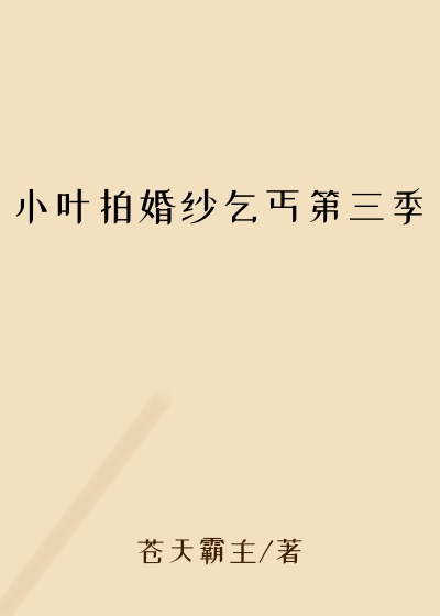 小叶拍婚纱乞丐第三季